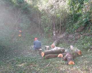 making chopping blocks for the pole lathe and bodgers hovel
