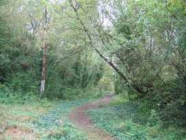 nature trail at amberley museum west sussex