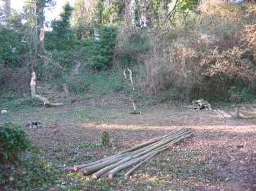 the galde cleared for the green wood worker group and pole lathe demonstrations
